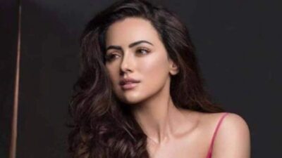 सोशल मीडिया पर निगेटिव वीडियो से परेशान हुईं सना खान, किया रिएक्ट