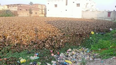 पीलीभीत: अस्तित्व खोता जा रहा बड़ा तालाब, लोगों ने सफाई करके उठाई सौंदर्यीकरण की मांग