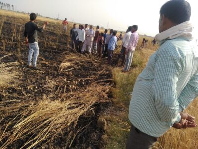 प्रयागराज:बिजली के हाई टेन्शन तार के टूटने से लगी आग लगभग चार बीघा खड़ी गेहूँ की फसल जलकर हुई राख