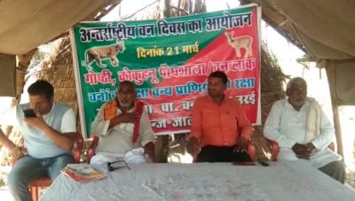 जालौन :अंतरराष्ट्रीय  वन दिवस का आयोजन किया गया