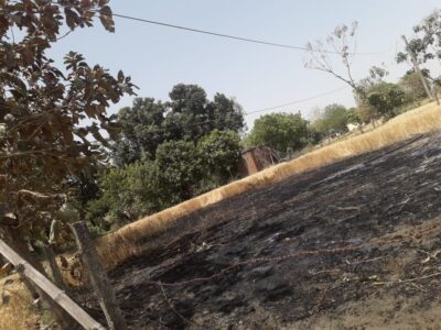प्रयागराज: लगभग आठ बीघा खड़ी गेहूँ की फसल जलकर हुई राख