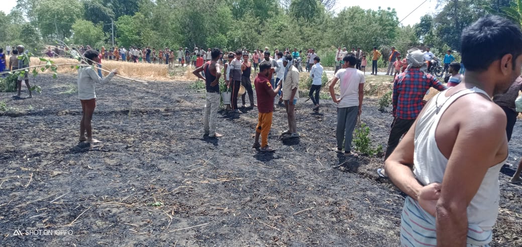 बाराबंकी: लहलहाती फसल हुई आग के हवाले