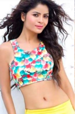 अश्लील फिल्म मामले में अब गहना वशिष्ठ की भी बढ़ी मुश्किलें, एक्ट्रेस के खिलाफ दर्ज हुआ केस