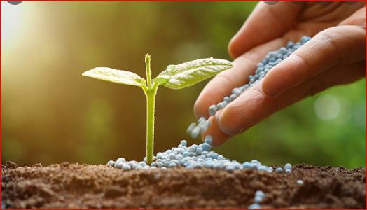 जानें, पौधों के लिये कौन सा पोषक तत्व कितना आवश्यक है