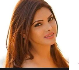 वाशरूम में ले रही थीं केकेआर की पार्टी में स्टार खिलाड़ियों की पत्नियां, ड्रग्स; शर्लिन चोपड़ा का खुलासा