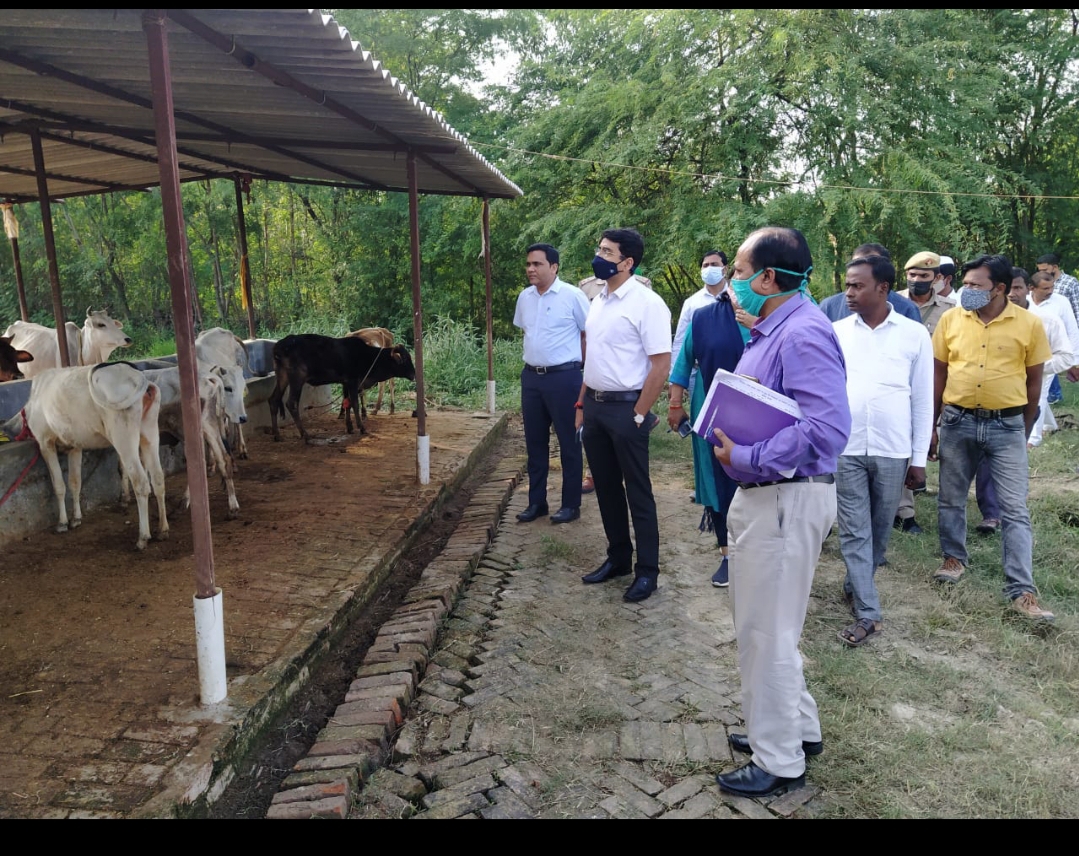 प्रयागराज-जिलाधिकारी ने कौंधियारा ब्लाक के कुल्हड़िया ग्राम पंचायत में बनाये गये अस्थाई गोसंरक्षण केन्द्र का किया निरीक्षण