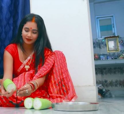 भोजपुरी एक्ट्रेस त्रिशाकर मधु ने छठ पूजा की तस्वीरें शेयर की , यूजर्स बोले- 'दिखावा मत करो'