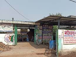 रायपुर:-गोठानों में लगेगे प्राकृतिक पेंट निर्माण के प्लांट