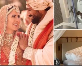 6 लाख की टॉयलेट सीट विक्की - कैट  की मेहमान नवाजी में थी
