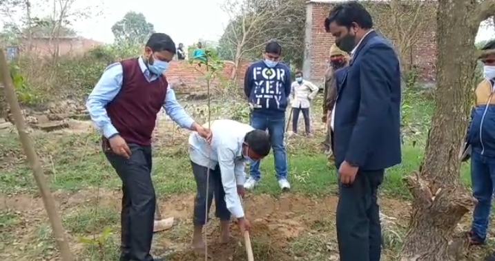 पीलीभीत:जिलाधिकारी ने मियांवाकी वाटिका का किया गया निरीक्षण और स्वयं के द्वारा भी एक पौधे का भी किया गया रोपण।