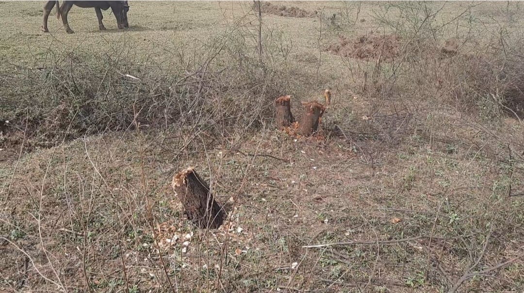 रायपुर :- ग्राम ताराशिव में सरपंच की मनमानी से हो रही है लाखों रुपये की बर्बादी