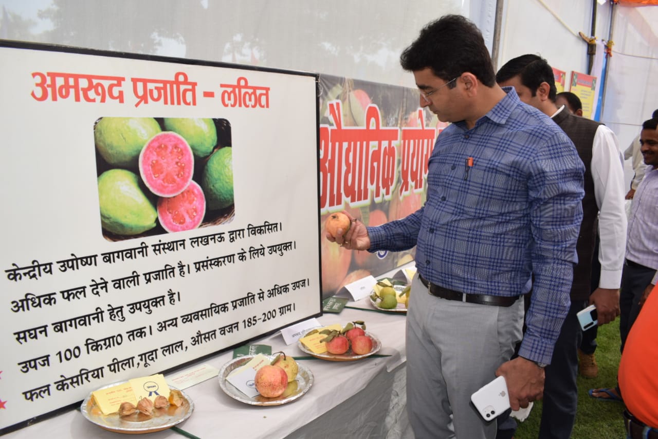 प्रयागराज ; जिलाधिकारी ने मण्डलीय फल, शाकभाजी एवं पुष्प प्रदर्शनी का किया अवलोकन