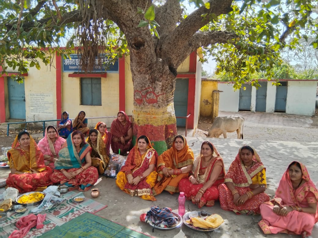 रायपुर :- निनवा मे ग्रामीण महिलाओं ने मनाया वट सावित्री का व्रत
