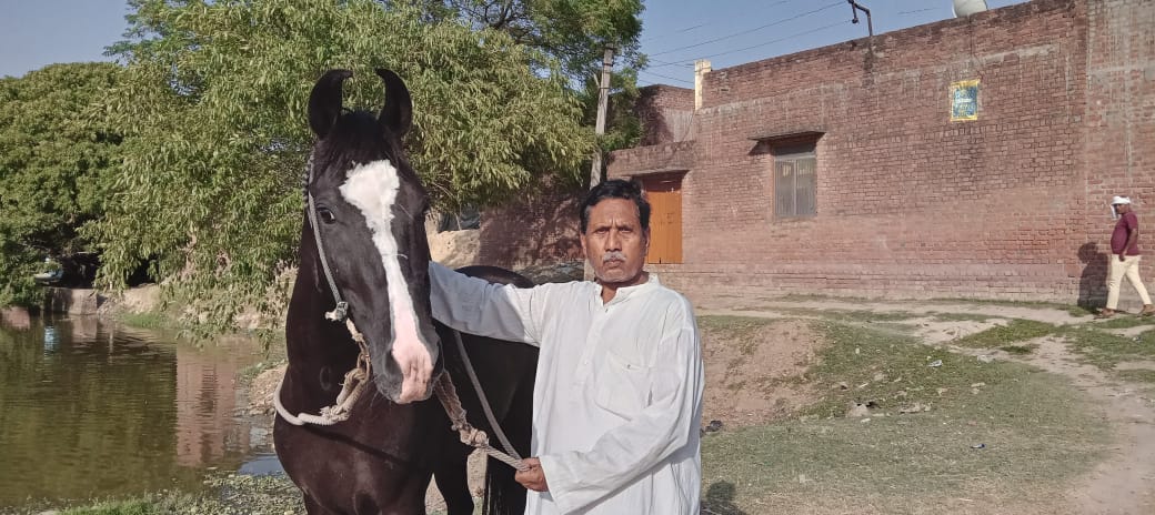 बरेली/आँवला - मुझे सुल्तान से बेपनाह मोहब्बत औलाद की तरह समझता हूं अबुल हसन खान।