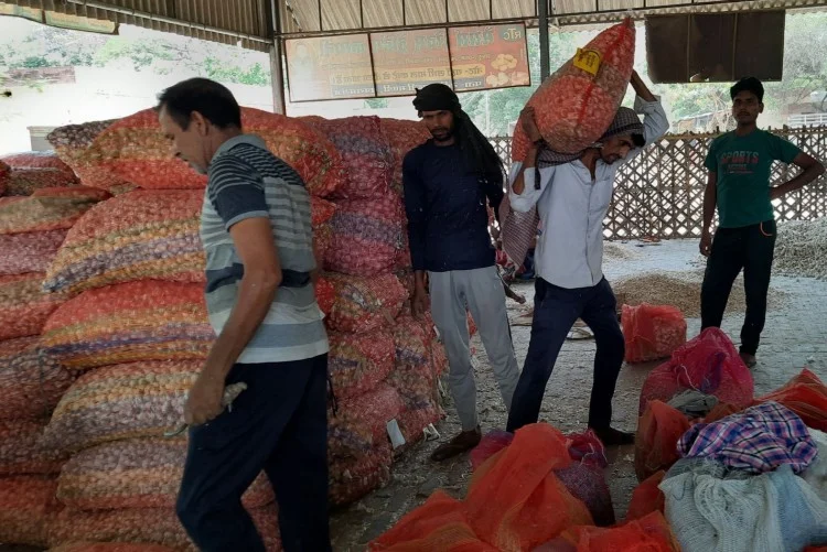 फर्रुखाबाद: कायमगंज किसानों के लिए घाटे का सौदा बनी लहसुन की फसल