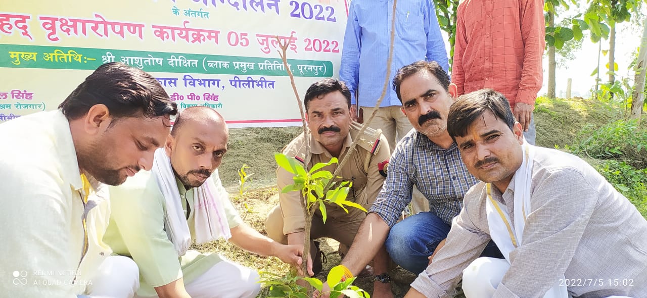 पीलीभीत:फत्तेपुर खुर्द के सिंहपुर गोशाला में पीपल आम अमरूद लीची नीबू नीम के 1100 पौधे रोपित किए गए ।