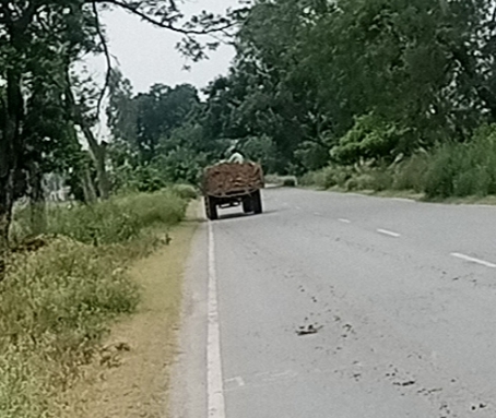 बरेली - सिरौली थाना क्षेत्र में अवैध खनन रोकने में सिरौली पुलिस नाकाम आए दिन हो रहे वीडियो वायरल।