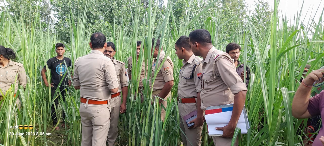 बरेली - गन्ने के खेत में मिला महिला का शव, मौके पर पुलिस प्रशासन मोजूद परिजनों ने जताई हत्या की आशंका।