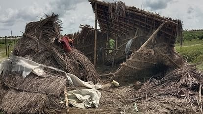 पीलीभीत के जंगल से सटे इलाकों में हाथियों का आतंक, आबादी में घुसकर झोपड़ी उजाड़ी, ग्रामीणों में दहशत