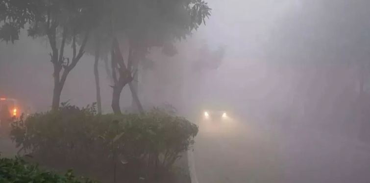 पीलीभीत में कोहरे की चादर में लिपटी तराई, विजिबिलिटी हुई शून्य, पारा पहुंचा पांच डिग्री