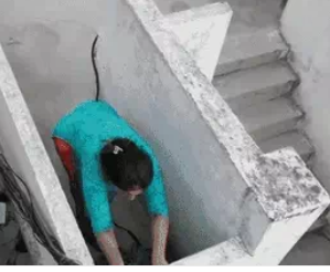घरों की छतों पर ड्रोन उड़ाकर बिजली चोरों को पकड़ा