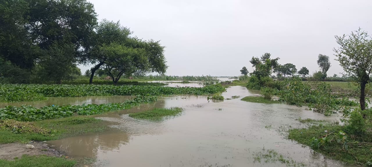 कन्नौज : काली नदी में लगातार बढ़ रहा जलस्तर ,घरो में घुस रहा पानी