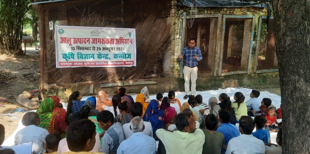 कन्नौज : आलू की फसल के लिए करे संतुलित खाद का प्रयोग ?