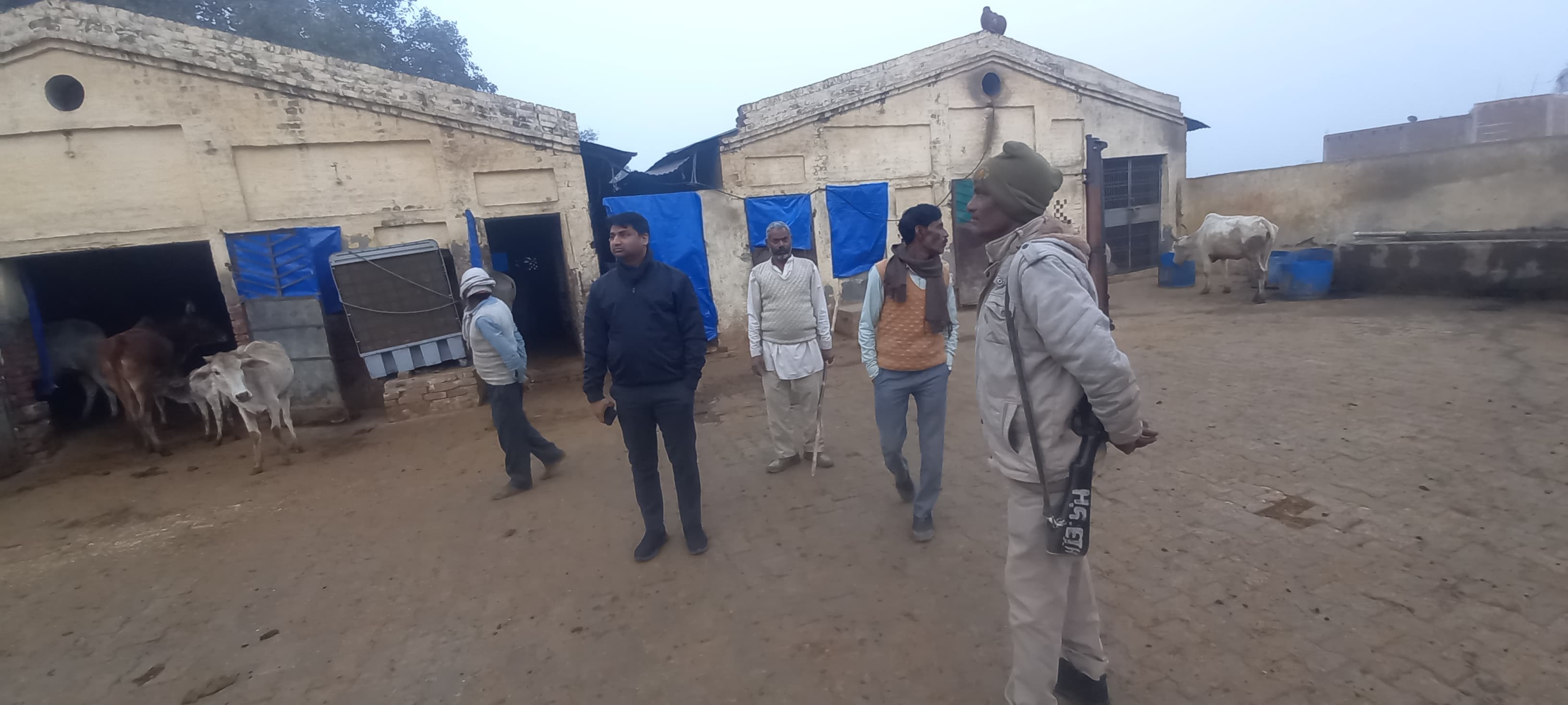 कासगंज :  पटियाली उपजिला अधिकारी ने किया कान्हा गौशाला का निरीक्षण