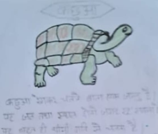 पीलीभीत : कम्पोजिट विद्यालय रूपपुर कमालू में मनाया गया विश्व कछुआ दिवस