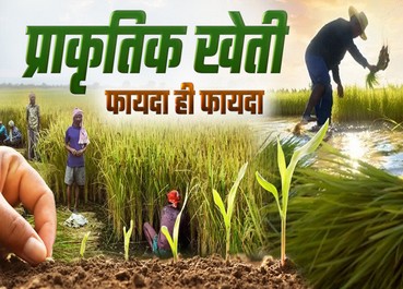 जौनपुर :प्राकृतिक खेती के लिये 6875 कृषको का बना 55 क्लस्टर