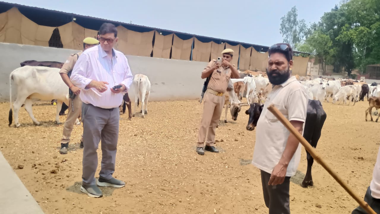 पीलीभीत : जिलाधिकारी ने देवीपुरा गौशाला का किया निरीक्षण साफ सफाई रखने के लिए निर्देश