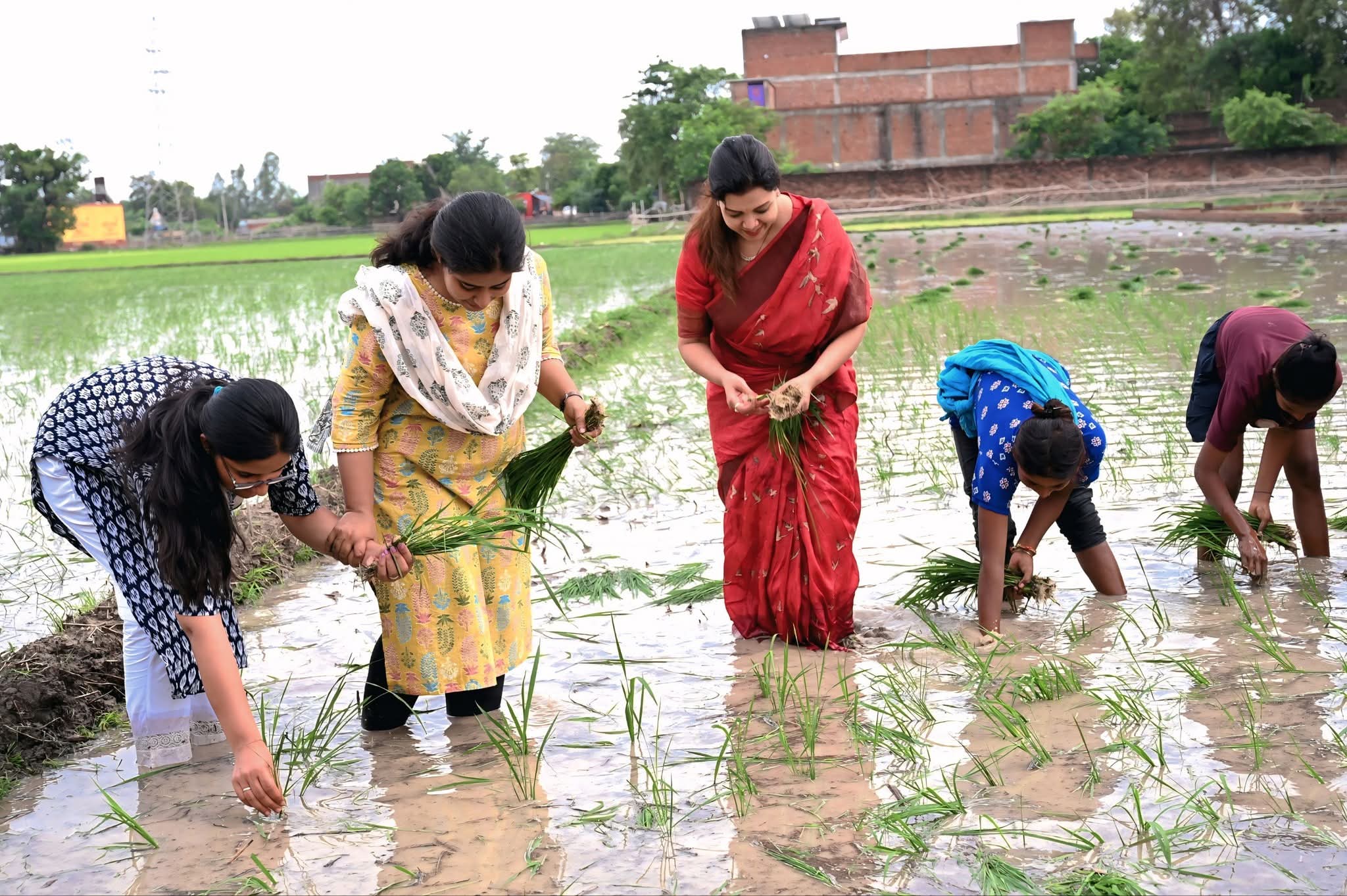 अमेठी:मिट्टी से जुड़कर महसूस होता है असली भारत": महिला आयोग सदस्य प्रियंका मौर्या ने महिला किसानों संग की धान रोपाई।