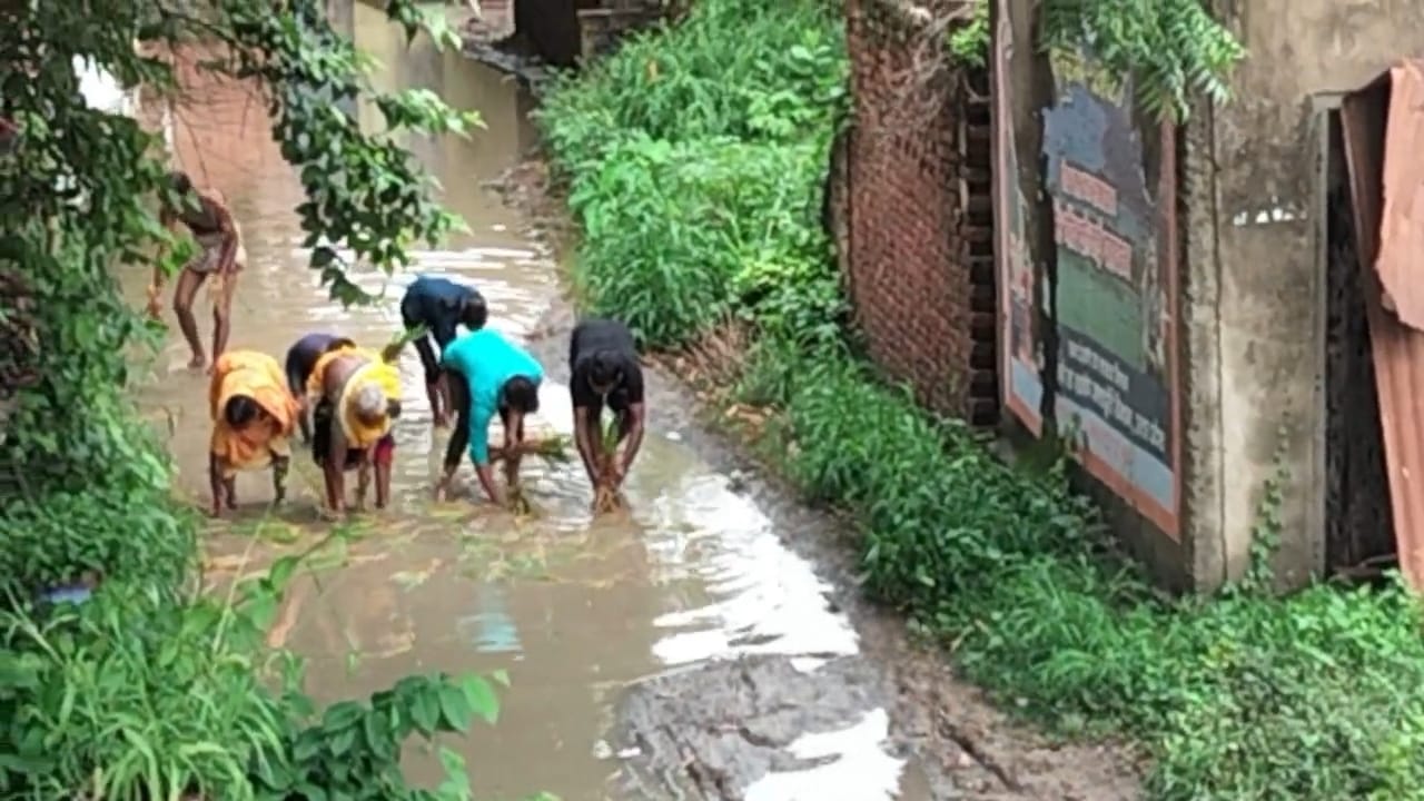 जौनपुर :भुवालापट्टी के लोगों ने सड़क पर की धान की रोपाई, वीडियो हुआ वायरल।