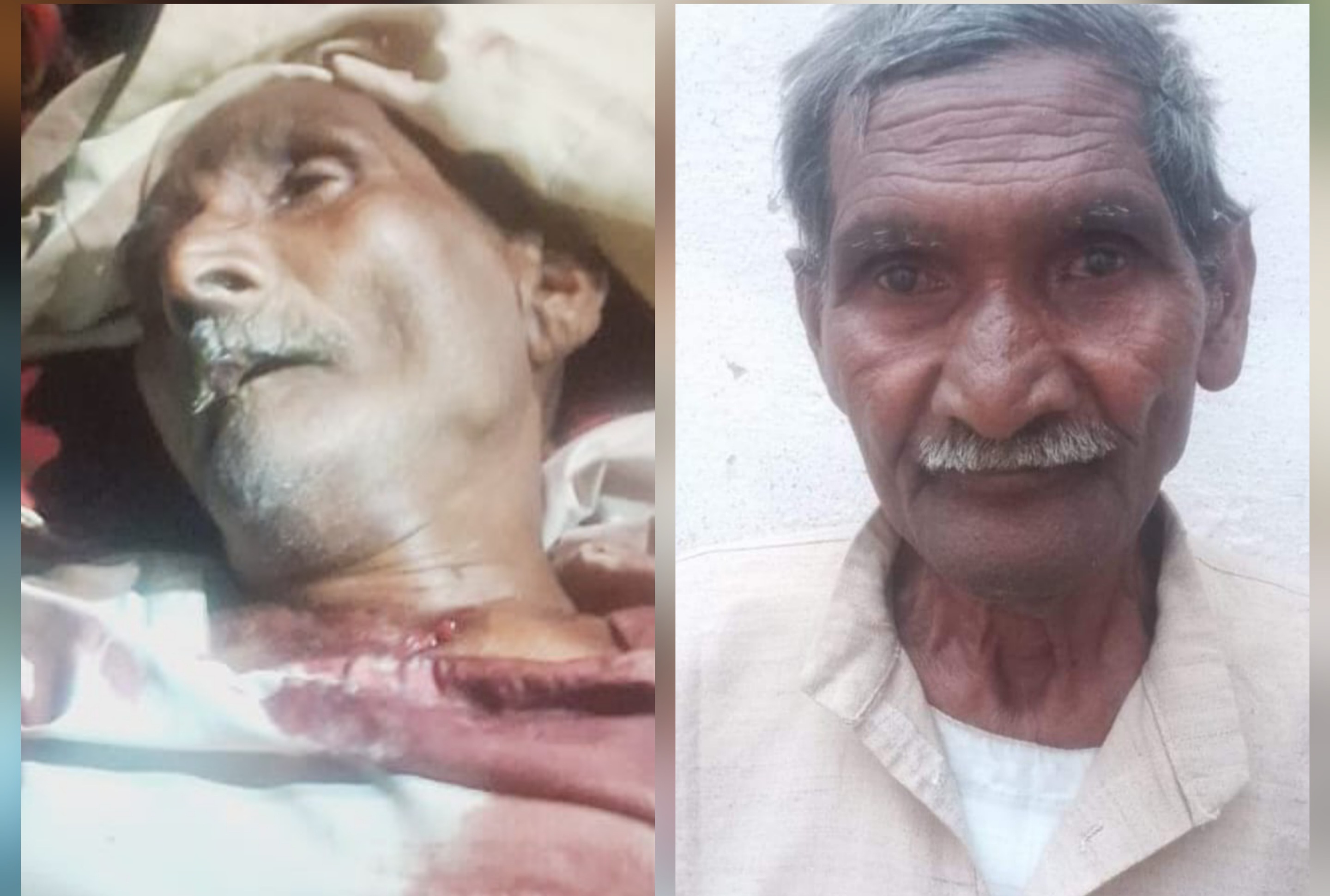 मैनपुरी में आवारा गौवंश का हमला: वृद्ध की मौत, एक गंभीर रूप से घायल।