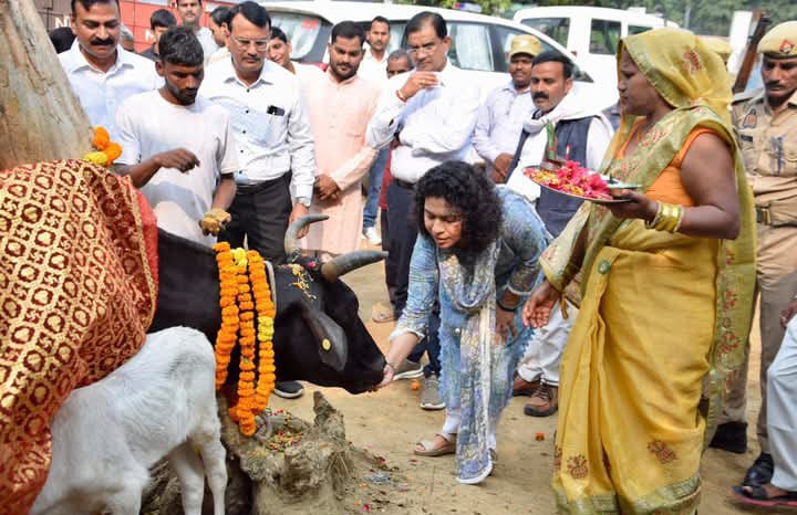 लखीमपुर खीरी : गोवर्धन पूजा पर जिलाधिकारी दुर्गा शक्ति नागपाल ने गौशाला में की गौमाता की पूजा अर्चना