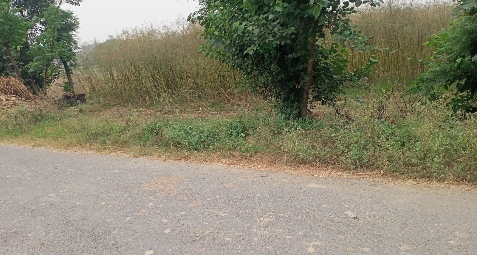 फर्रुखाबाद: कोरीखेड़ा में भूमि विवाद को लेकर कार्रवाई ठप, टीम गठन के बावजूद प्रशासन मौन।