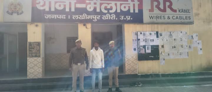 लखीमपुर खीरी : थाना मैलानी पुलिस द्वारा नफर वांछित अभियुक्त हरिपाल उर्फ पाला को मैलानी पुलिस ने किया गिरफ्तार