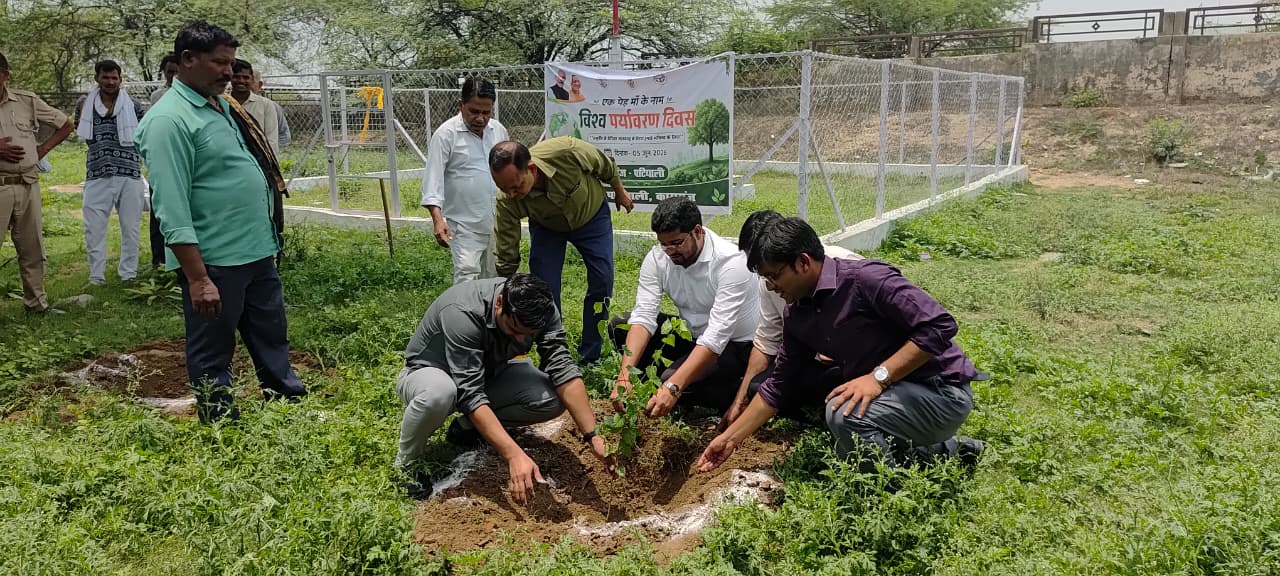 कासगंज:पटियाली उपजिलाधिकारी प्रदीप कुमार विमल और न्यायिक उपजिलाधिकारी नायब तहसील डर ने पर्यावरण दिवस के अवसर पर किया पौधरोपण