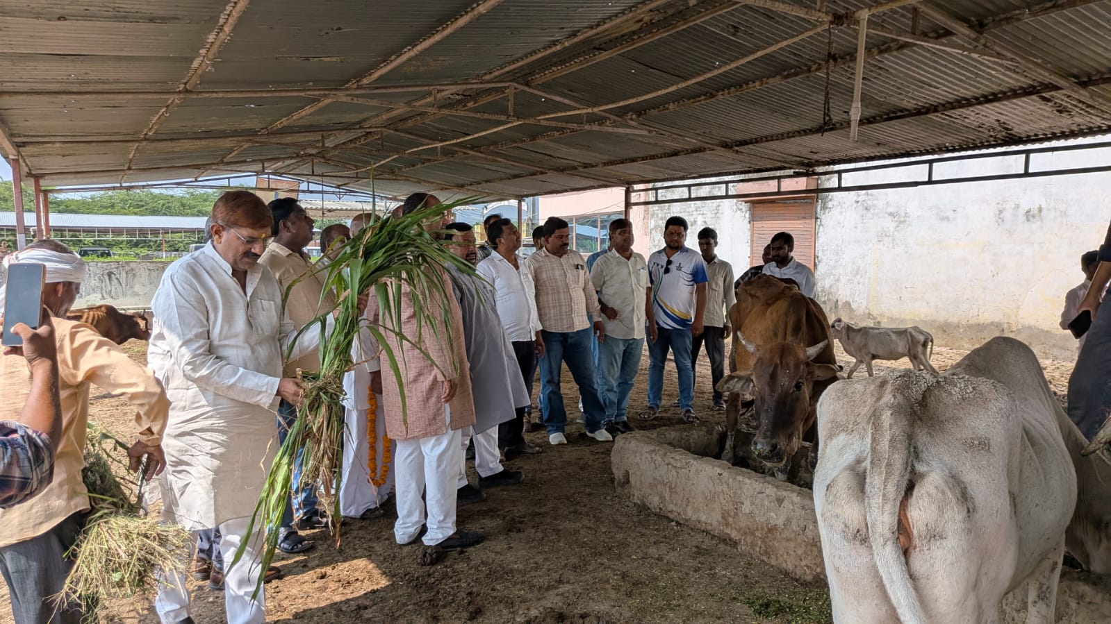 फर्रुखाबाद:सांसद मुकेश राजपूत ने सितवनपुर पिथू गौशाला का किया निरीक्षण, गौवंश को खिलाया गुड़-चना और हरा चारा