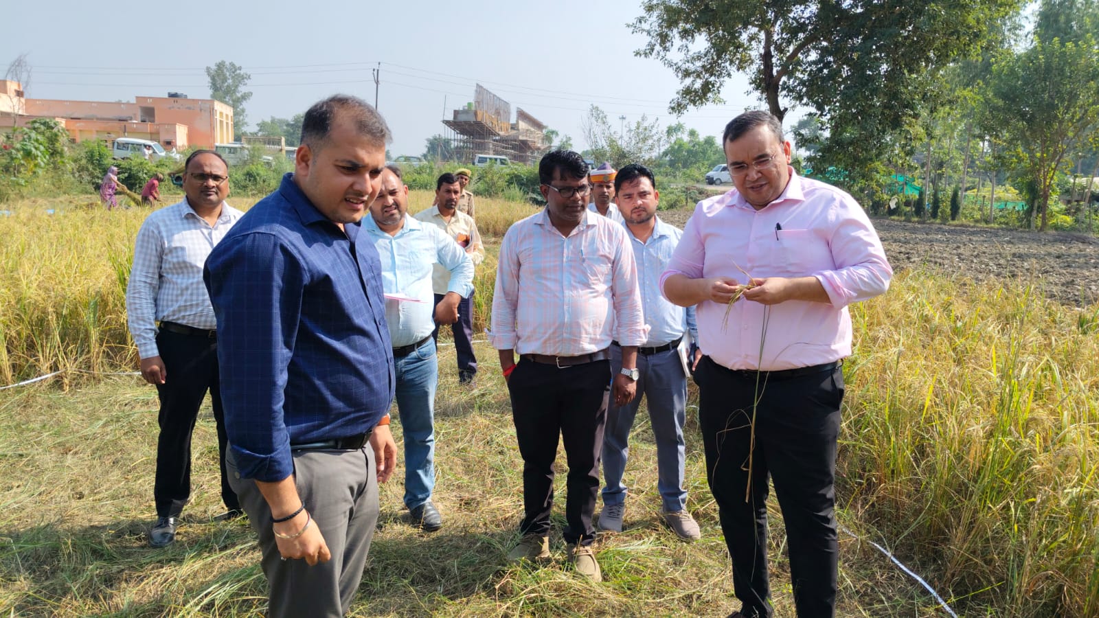 कासगंज: होड़लपुर में डीएम की मौजूदगी में हुई धान की क्रॉप कटिंग, 43.3 वर्ग मीटर में निकली 13.810 किलो उपज