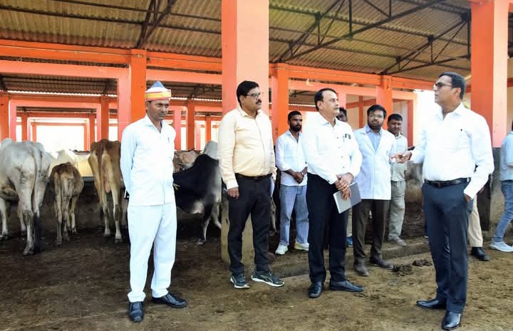 लखीमपुर खीरी : चाऊपुर गो आश्रय स्थल का डीएम ने किया औचक निरीक्षण-कहा गोवंश की सेहत से समझौता नहीं, एक माह में सुधार का अल्टीमेटम